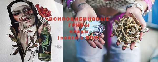 прущая мука Бронницы