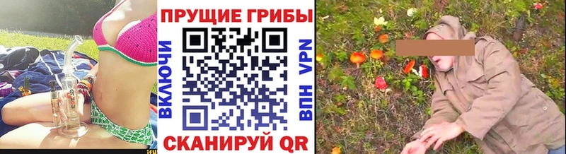 Псилоцибиновые грибы Psilocybine cubensis купить Луховицы